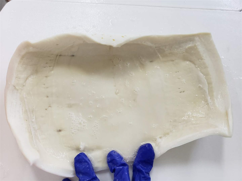 秘魯魷魚可以多吃嗎？